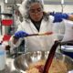 GMO Food